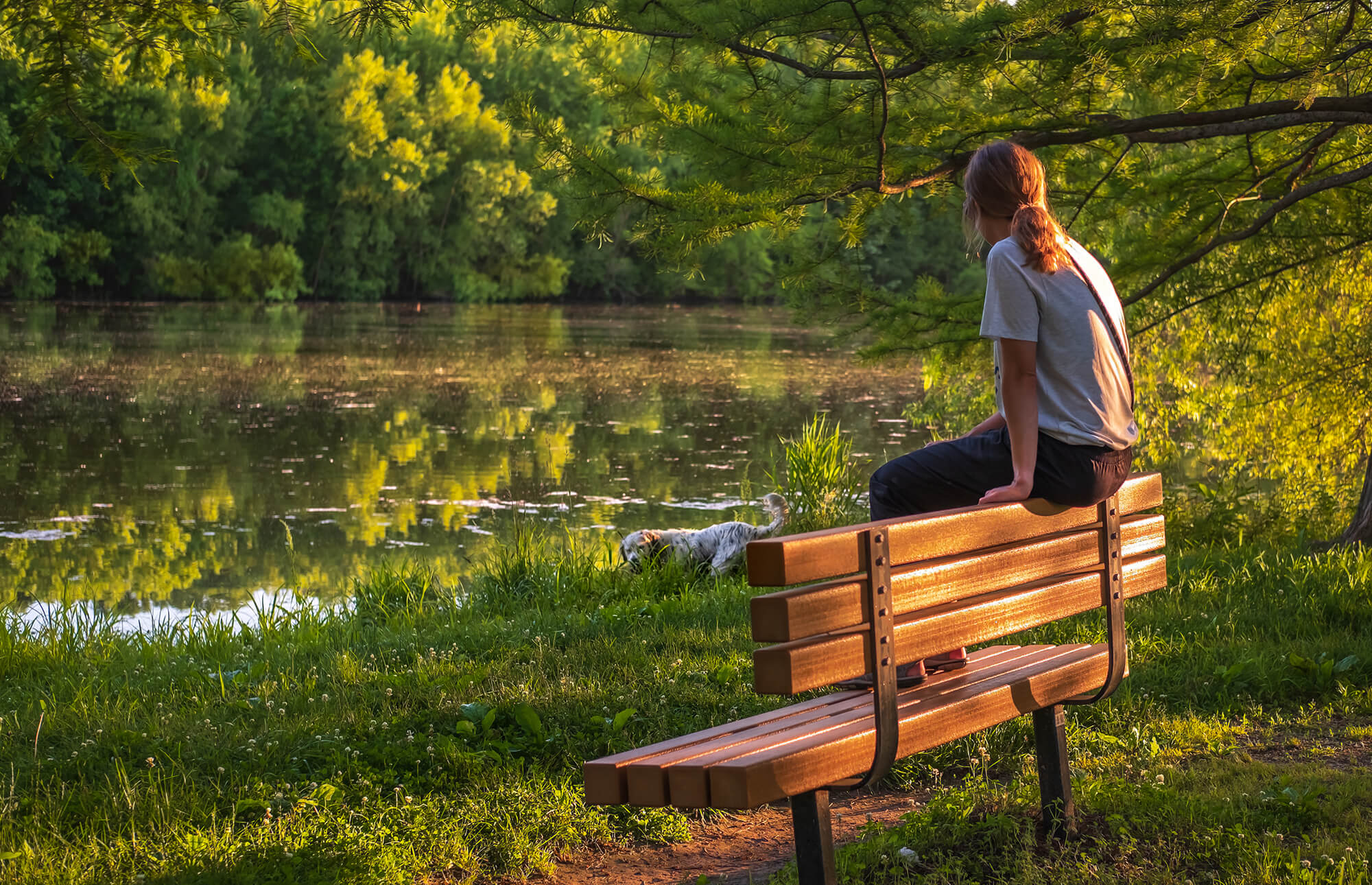 Person sitting on a bench in front of a pond looking at her dog.