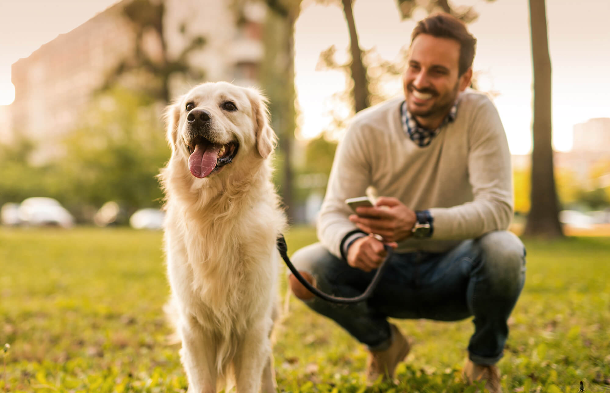 Image of person kneeling while smiling at his dog in a park.